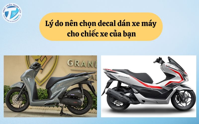 Lý do nên chọn decal dán xe máy cho chiếc xe của bạn